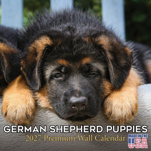 German shepherd pups - german,