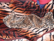 ZARA accerioes size Meduim