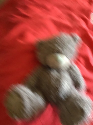 Cuddle bear - cuddle,