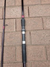 Carp Rods  x 2  Used Carp Fishing Gear