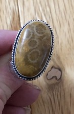 Yellow Chrysanthemum Fossil