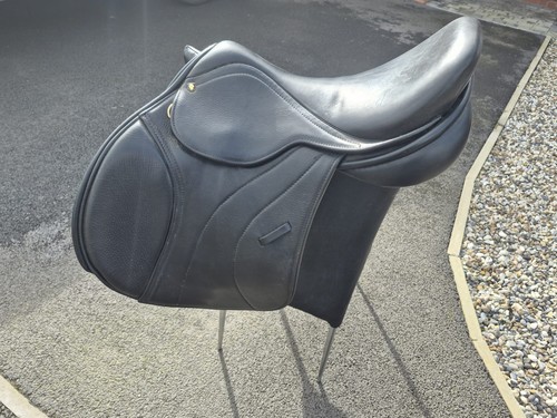 Monarch quality horse - quality,