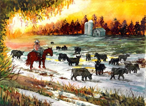 Cowboy and angus - and, cattle