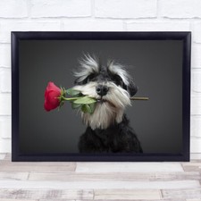 Tango Dancer Dog Miniature