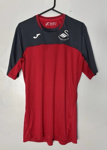 Swansea city joma - fc, training