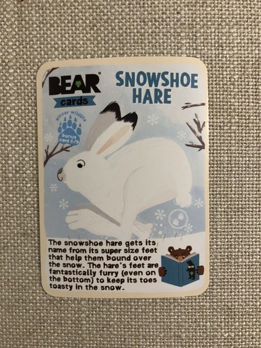 Bear brand new - bear,