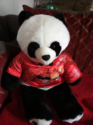 Panda bearl traditional - bearl,