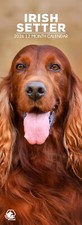 Irish Setter Dog 2026 Slim
