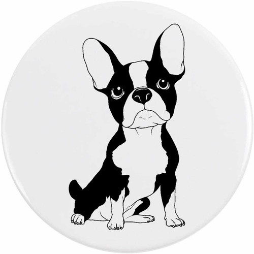 Sitting french bulldog - 'sitting,