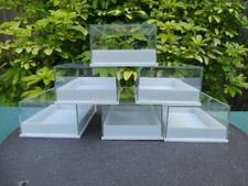 12 Perspex Clear Lid Specimen
