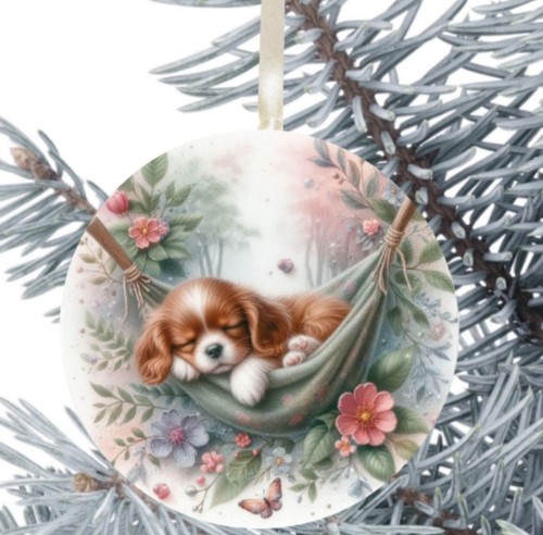 King charles cavalier spaniel - king,