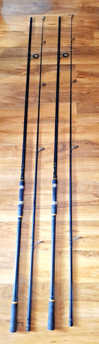 Dragon carp fishing - carp,