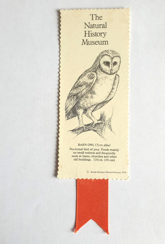 British museum natural history - natural,