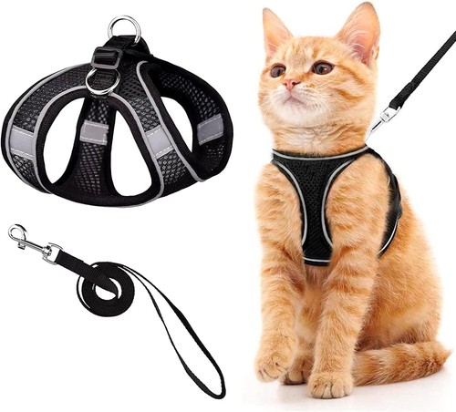 Cat harness and leash for - and,