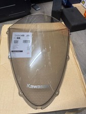 Kawasaki ZX6R P8F 2008 Front