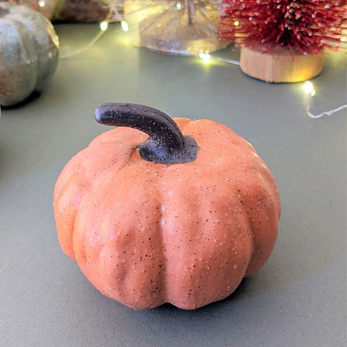 10cm fall autumn - fall,