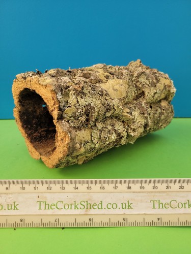 Cork bark hamster tube - cork,