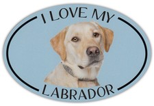 Oval Dog Breed Picture Car