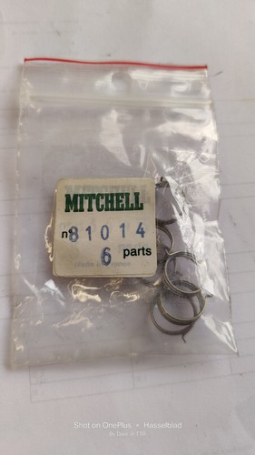 Mitchell spares bail - mitchell,