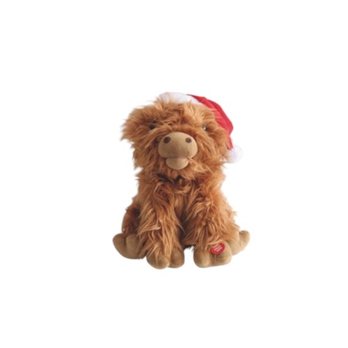 Scottish highland cow singing - scottish,