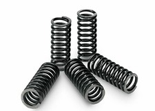 Clutch Springs Set Fits Honda