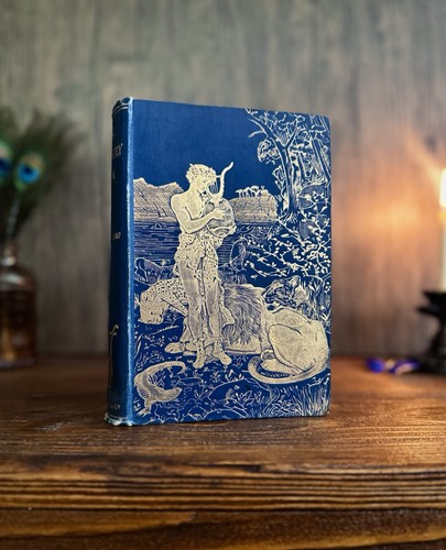 The blue poetry - poetry, book
