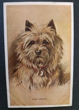 Mac Dog Postcard, Cairn