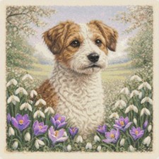 Jack-A-Poo Puppy Dog In Spring