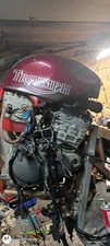 Triumph 955i R/S Motor