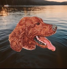Irish Red Setter Dog Patch