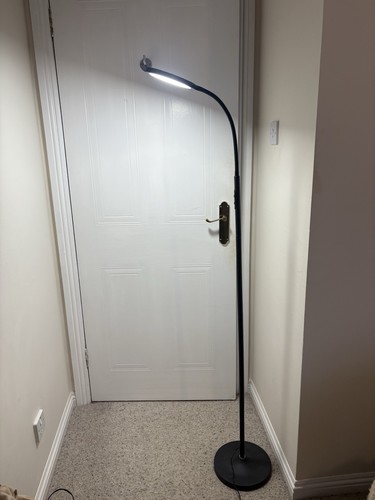 Floor lamp with remote - with,