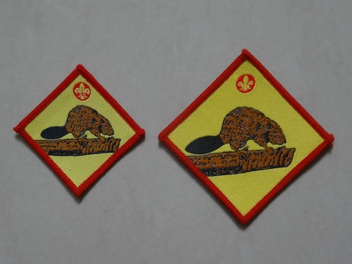 Beaver scout neckerchief - scout,