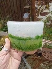 Fused Art Glass Curved Scene Ornament 