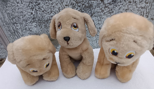 The original andrex - andrex, puppy