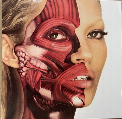 Damien hirst kate - damien,