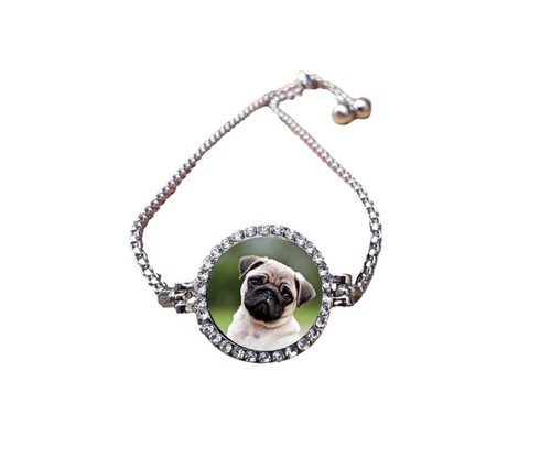 Pug dog pet - pet, silver