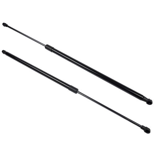 Tailgate boot gas struts - boot,