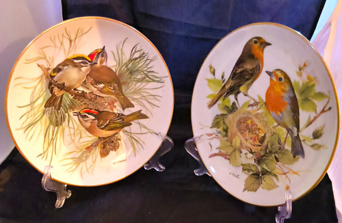 Tirschenreuth wwf birds - wwf,