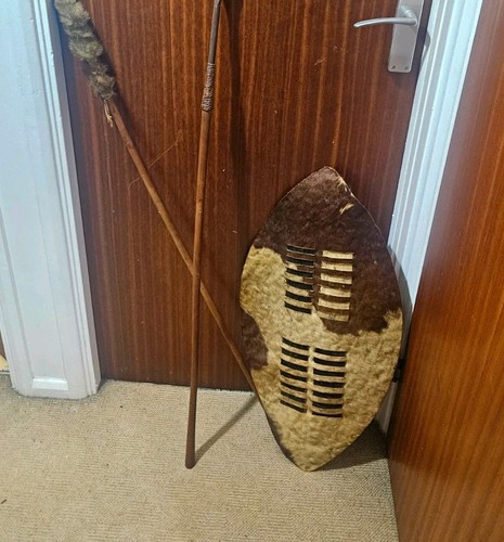 African hide shield - hide,