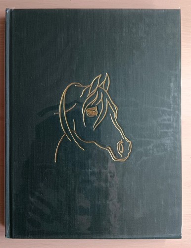 The arabian horse - the,