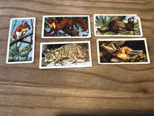 Brooke bond tea cards - tea,