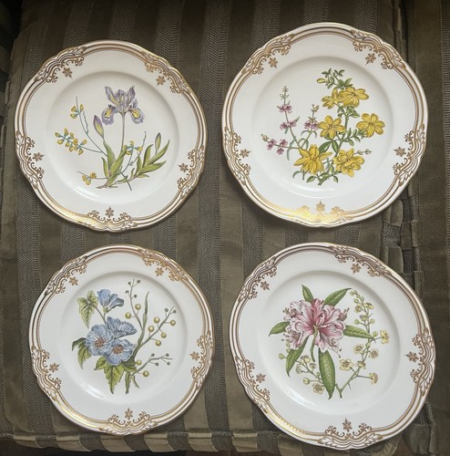 Spode stafford flowers x - stafford, 4