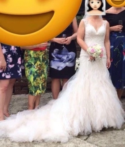 Sophia tolli blake - tolli, “blake’