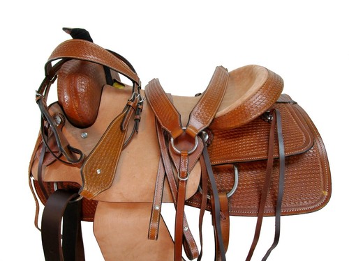 Western saddle horse - saddle,