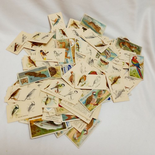 Vintage cigarettes cards - vintage,