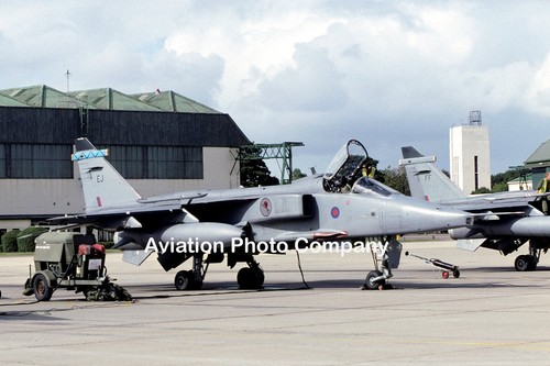 Raf squadron sepecat - 6, jaguar