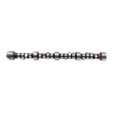 Camshaft for Land Rover Range