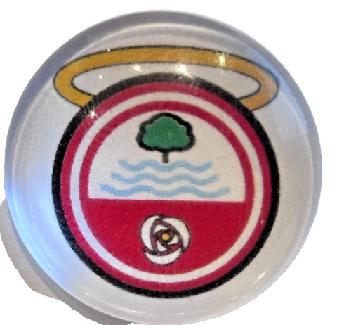 Southampton badge glass dome - southampton,