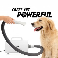 2025 CYCLONE V4 Compact Dog