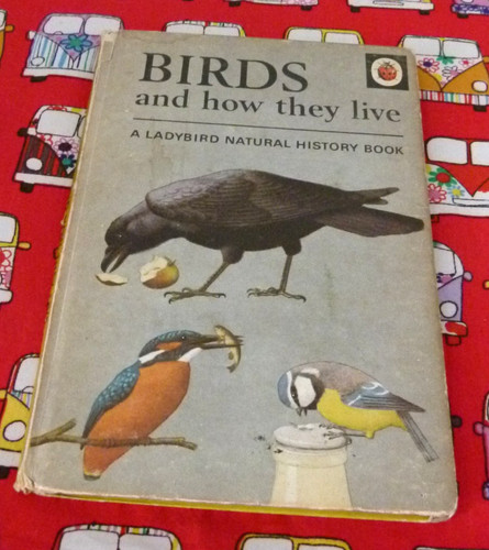 Ladybird book series 651 - ladybird,